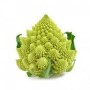 romanesco